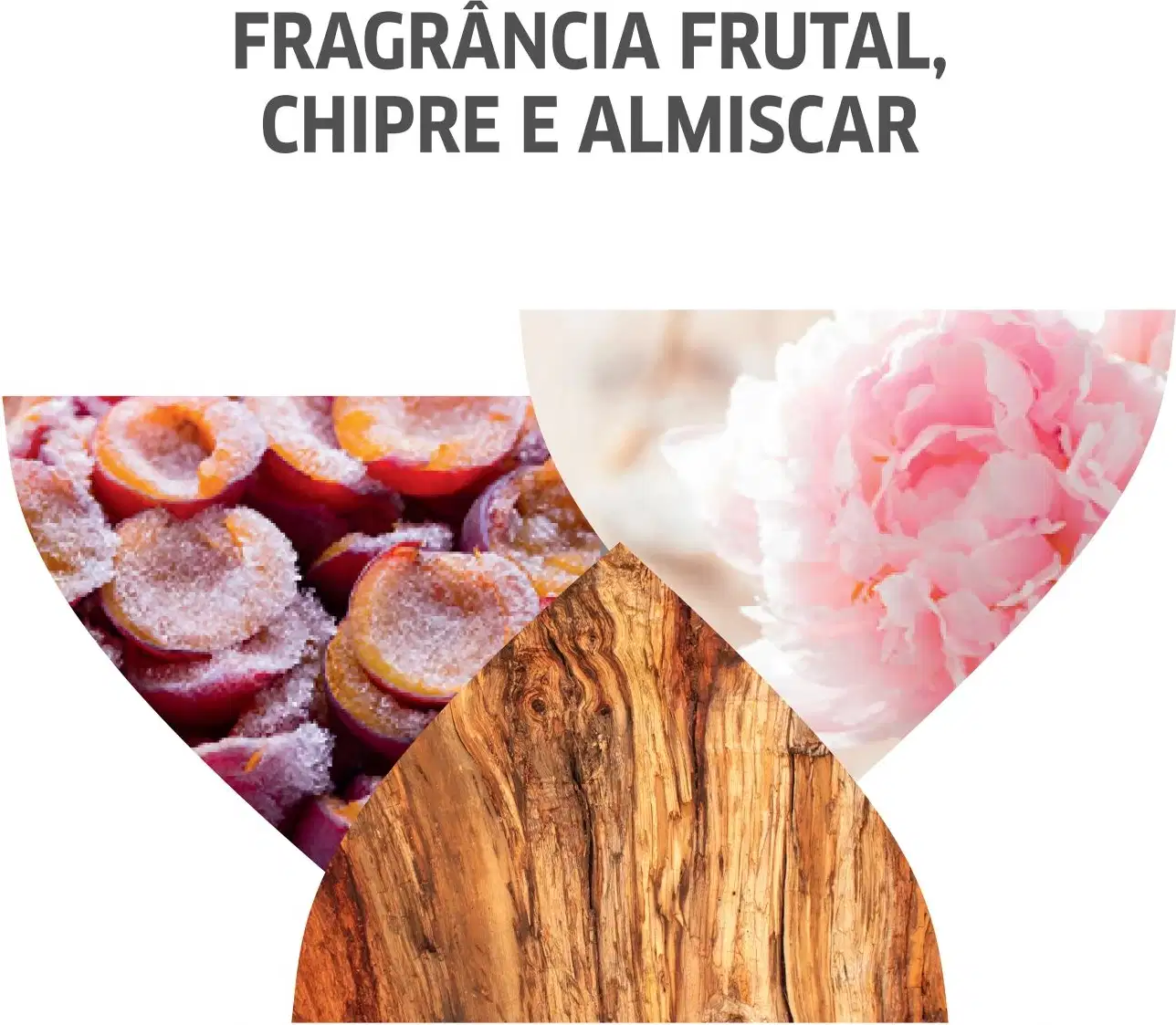 O produto apresentado é uma fragrância frutal, chipre e almiscarada. A imagem mostra duas fotos: uma de pêssegos cortados ao meio com açúcar por cima, representando o aroma frutal; e outra de uma rosa rosa vibrante, simbolizando a fragrância floral.