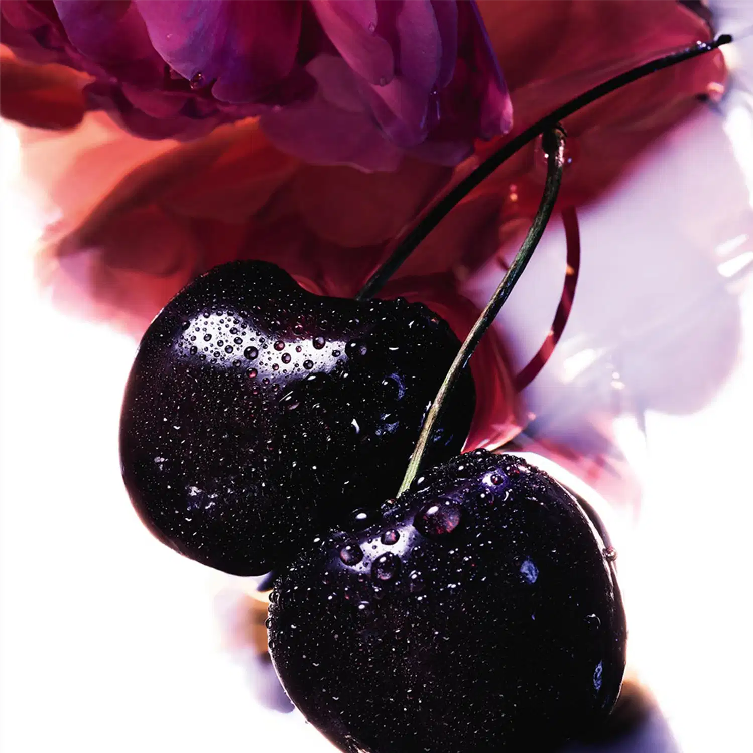A imagem mostra duas cerejas pretas.