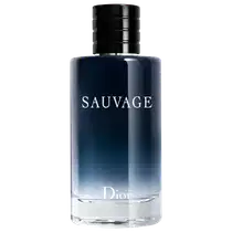 Sauvage Dior Eau de Toilette - Perfume Masculino 200ml