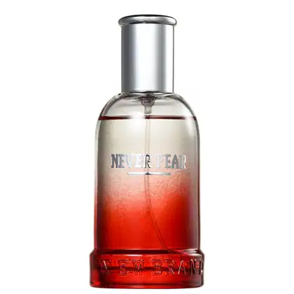 Imagem do produto Never Fear New Brand Eau de Toilette - Perfume Masculino 100ml