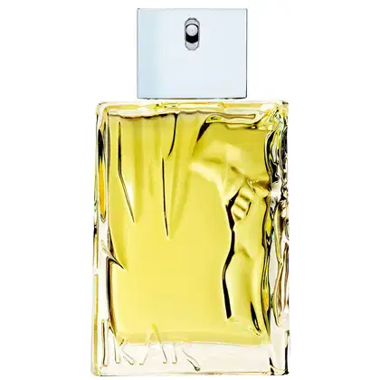 Imagem do produto Eau d'Ikar Sisley Eau de Toilette - Perfume Masculino 100ml