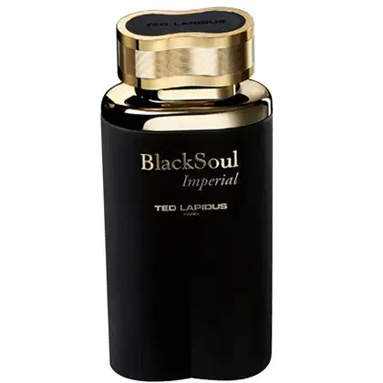 Imagem do produto Black Soul Imperial Ted Lapidus Eau de Toilette - Perfume Masculino 50ml