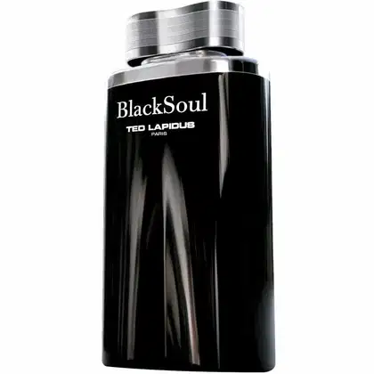 Imagem do produto Black Soul Ted Lapidus Eau de Toilette - Perfume Masculino 30ml