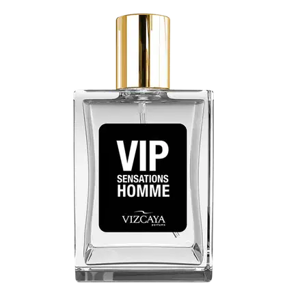 Imagem do produto VIP Sensations Homme Vizcaya - Perfume Masculino 100ml