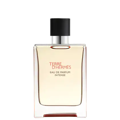 Imagem do produto Terre d’Hermès Intense Hermès Eau de Parfum - Perfume Masculino 100ml