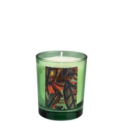 Vela Perfumada Phebo Aromáticos Folhas de Menta de 250g