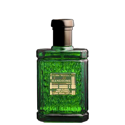 Imagem do produto Handsome Paris Elysees Eau de Toilette - Perfume Masculino 100ml