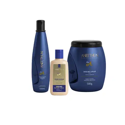Imagem do produto Kit Aneethun Linha A - Shampoo 300mL + Máscara 500g + Creme Brilho 100ml