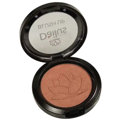 Imagem do produto Dailus Up 12 Chocolate - Blush em Pó 4,5g