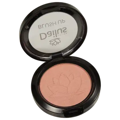 Imagem do produto Dailus Up 14 Nude - Blush em Pó 4,5g