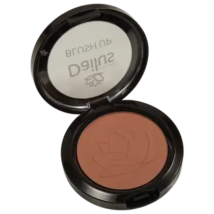 Imagem do produto Dailus Up 16 Terra - Blush em Pó 4,5g