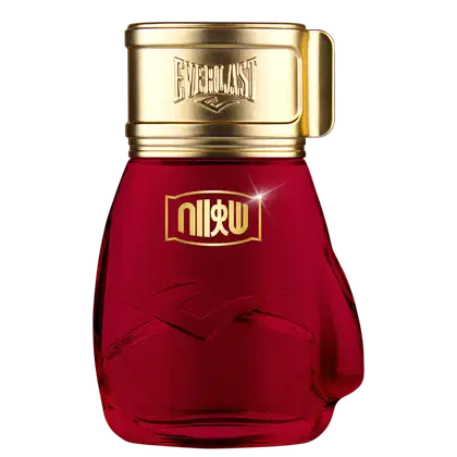 Imagem do produto Choice Of Champions Street Fighter Hadouken Everlast Deo Colônia - Perfume Masculino 100ml