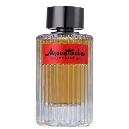 Imagem do produto Moustache Rochas Eau de Parfum - Perfume Masculino 125ml