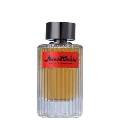 Imagem do produto Moustache Rochas Eau de Parfum - Perfume Masculino 75ml