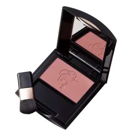 Imagem do produto Rouge Baiser Paris Fard À Joues Évidemment 01 Acajou - Blush 6g