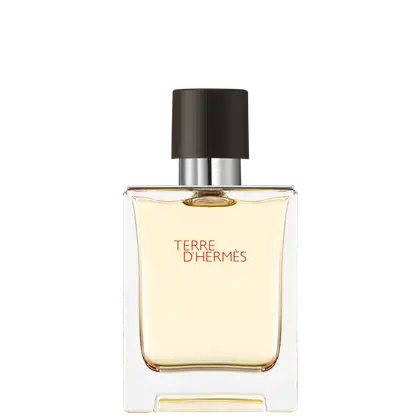 Imagem do produto Terre d’Hermès Hermès Eau de Toilette - Perfume Masculino 50ml