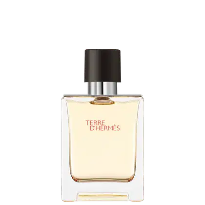 Imagem do produto Terre d’Hermès Hermès Eau de Toilette - Perfume Masculino 30ml