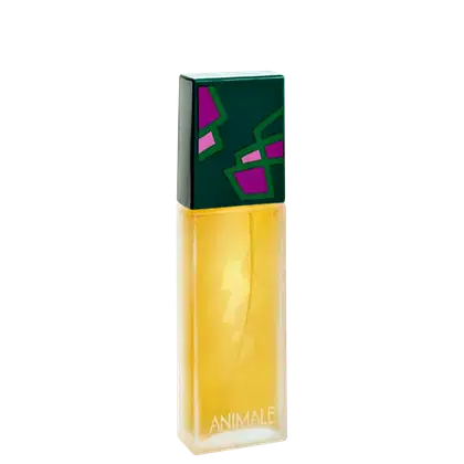 Imagem do produto Animale Eau de Parfum - Perfume Feminino 100ml