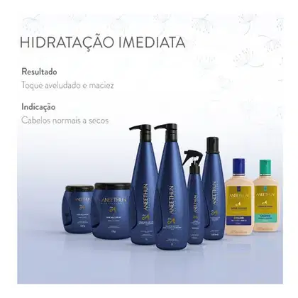 Imagem do produto kit Shampoo E Máscara Hidratação Aneethun Linha A Litro