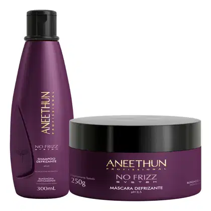 Imagem do produto Aneethun Kit No Frizz (Shampoo 300ml + Máscara 250g)