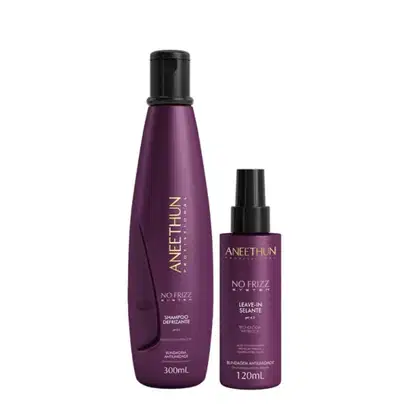 Imagem do produto Aneethun Kit No Frizz System (Shampoo 300ml + Leave in Selante)