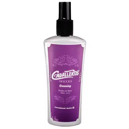 Imagem do produto Grooming 300mL Modelador em Spray - Alta Fixação Caballeros