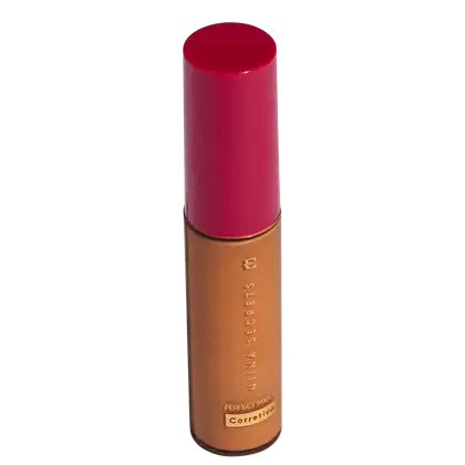 Imagem do produto Eudora Niina Secrets Perfect Match Cor 65 - Corretivo Líquido 10ml