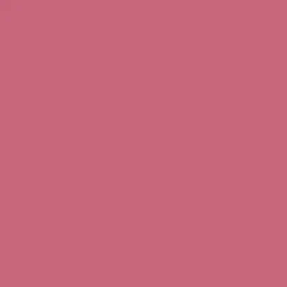 Imagem do produto Blush Compacto Duo DB05 - Ruby Rose