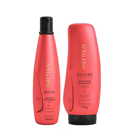 Imagem do produto Aneethun Restore System Kit Shampoo Restaurador e Finalizador Restaurador 250g