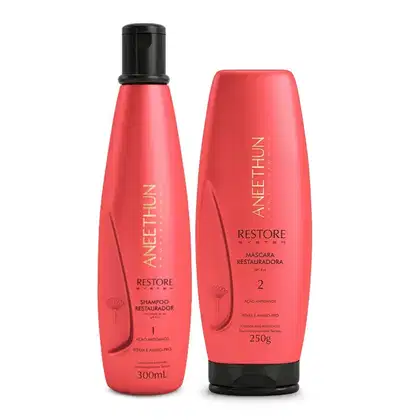 Imagem do produto Kit Aneethun Restore System - Shampoo 300ml + Máscara 250g