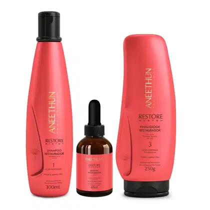 Imagem do produto Kit Aneethun Restore System - Shampoo 300ml + Finalizador 250g + Booster Capilar 40ml