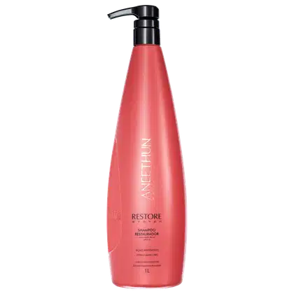 Imagem do produto Aneethun Restore System - Shampoo 1L