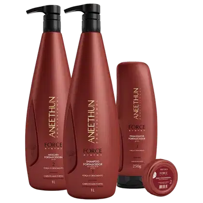 Kit com shampoo, máscara, finalizador e dose fortalecedora Force System, da marca Aneethun.