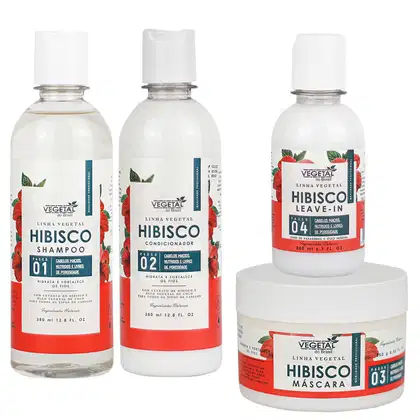 Imagem do produto Kit Vegetal do Brasil Hibisco (4 Produtos)
