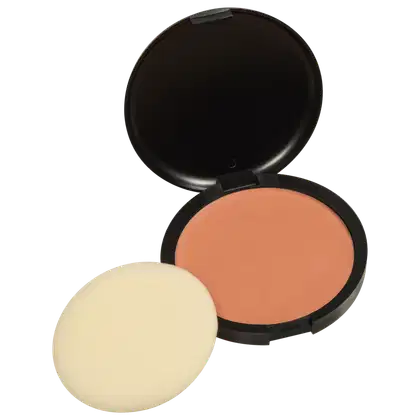 Imagem do produto Dailus Duocake 06 Rose - Base Cremosa 10g