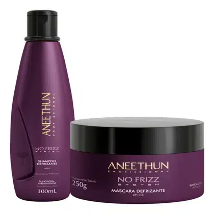 Imagem do produto Kit Aneethun No Frizz Shampoo 300ml + Máscara 250g