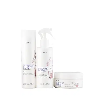 Imagem do produto Kit Braé Intense Repair By Ana Paula Siebert - Shampoo 250ml + Hair Repair 260ml + Máscara 200g