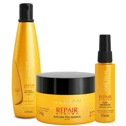 Imagem do produto Kit Shampoo Máscara Óleo Pós-Química Aneethun Repair System