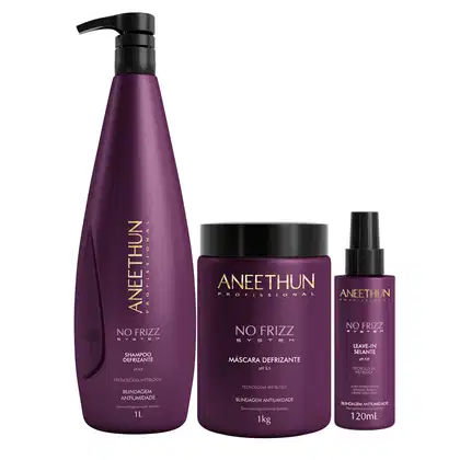 Imagem do produto KIT DISCIPLINANTE NO FRIZZ 3 PRODUTOS LAVATÓRIO- ANEETHUN