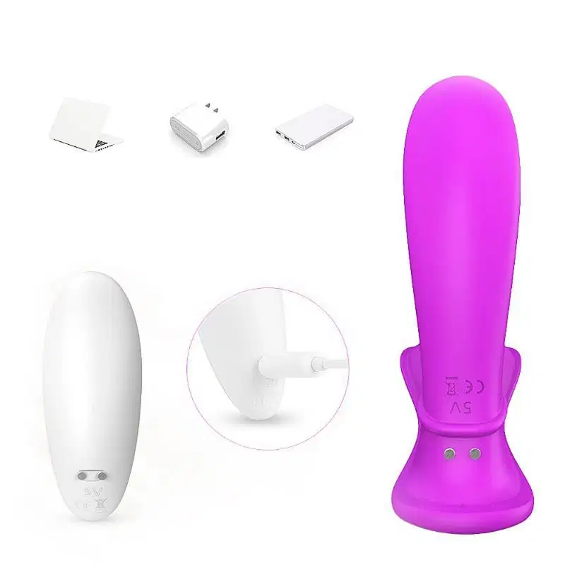 Vibrador com 9 Vibrações e Controle - Roxo | Butterfly-RCT