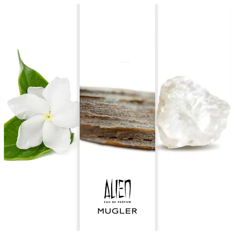 Alien Mugler Eau de Parfum - Perfume Feminino 60ml