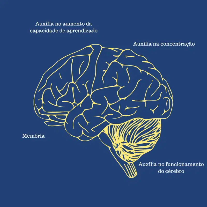Suplemento Alimentar Neurofort Cognis C60 – Ecofitus