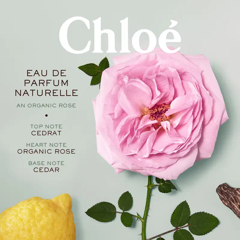 Rosé Naturelle Chloé Eau de Parfum - Perfume Feminino 50ml