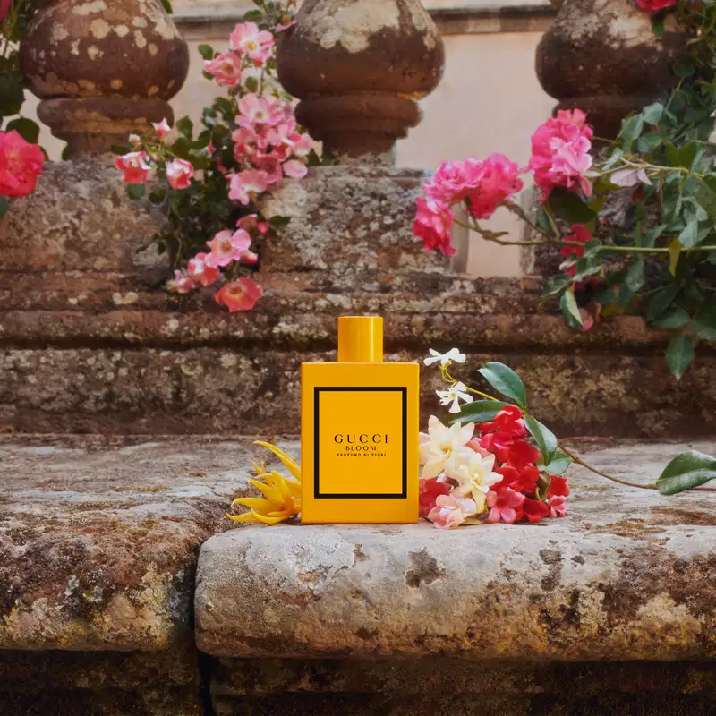 Perfume Bloom Profumo Di Fiori Gucci Feminino | Beleza na Web