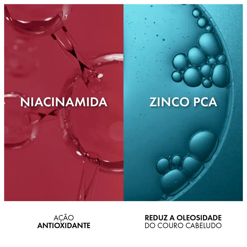 Niacinamida: ação antioxidante

Zico PCA: reduz a oleosidade do couro cabeludo