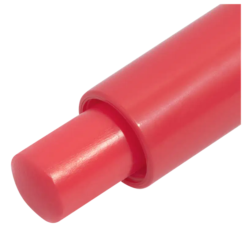 Dailus Lip Scrub Cereja - Protetor Labial 4g