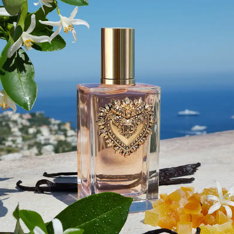 Devotion Dolce & Gabbana Eau de Parfum - Perfume Feminino 100ml