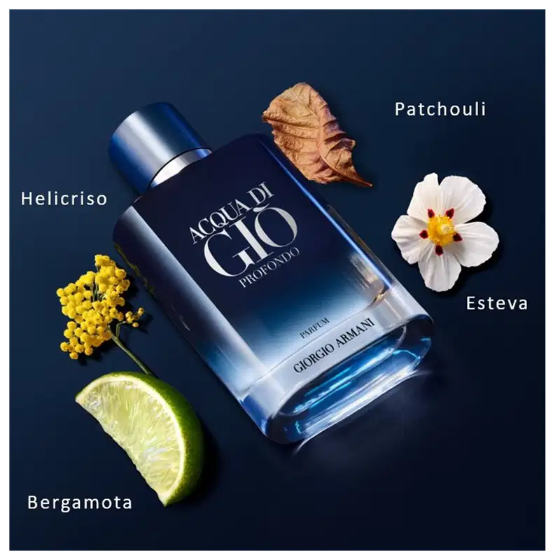 Acqua di Giò Profondo Giorgio Armani Parfum - Perfume Masculino 100ml