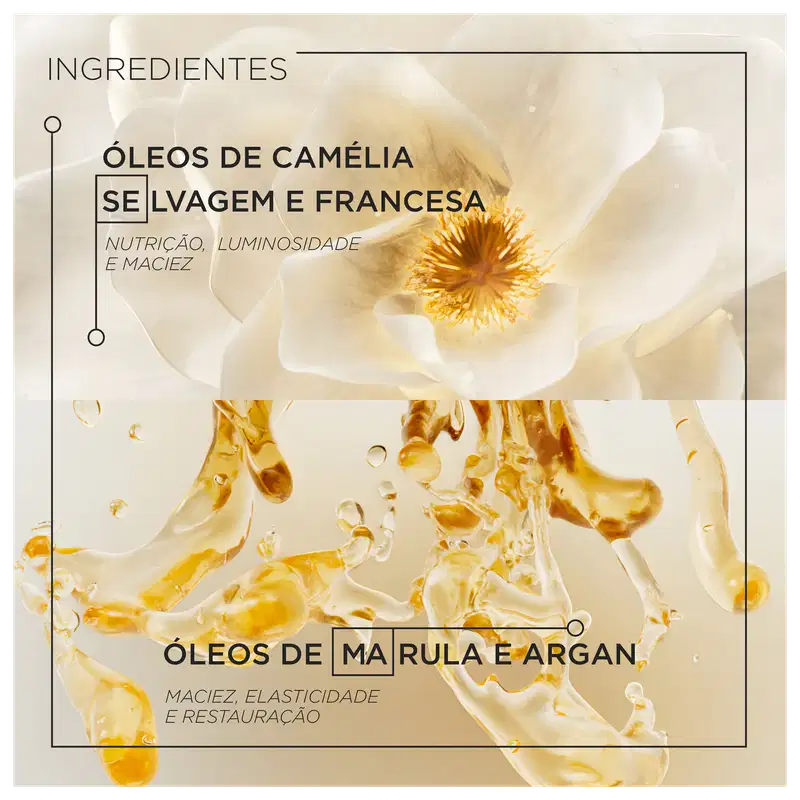 A imagem mostra os ingredientes, ao fundo há a imagem de uma camélia selvagem e francesa e embaixo destaca seus benefícios como nutrição, luminosidade e maciez. Embaixo há imagem de óleos, indicados como marula e argan e benefícios como elasticidade.