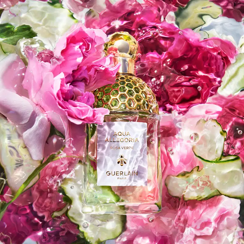 Aqua Allegoria Rosa Verde Guerlain Eau de Toilette - Perfume Feminino 75ml